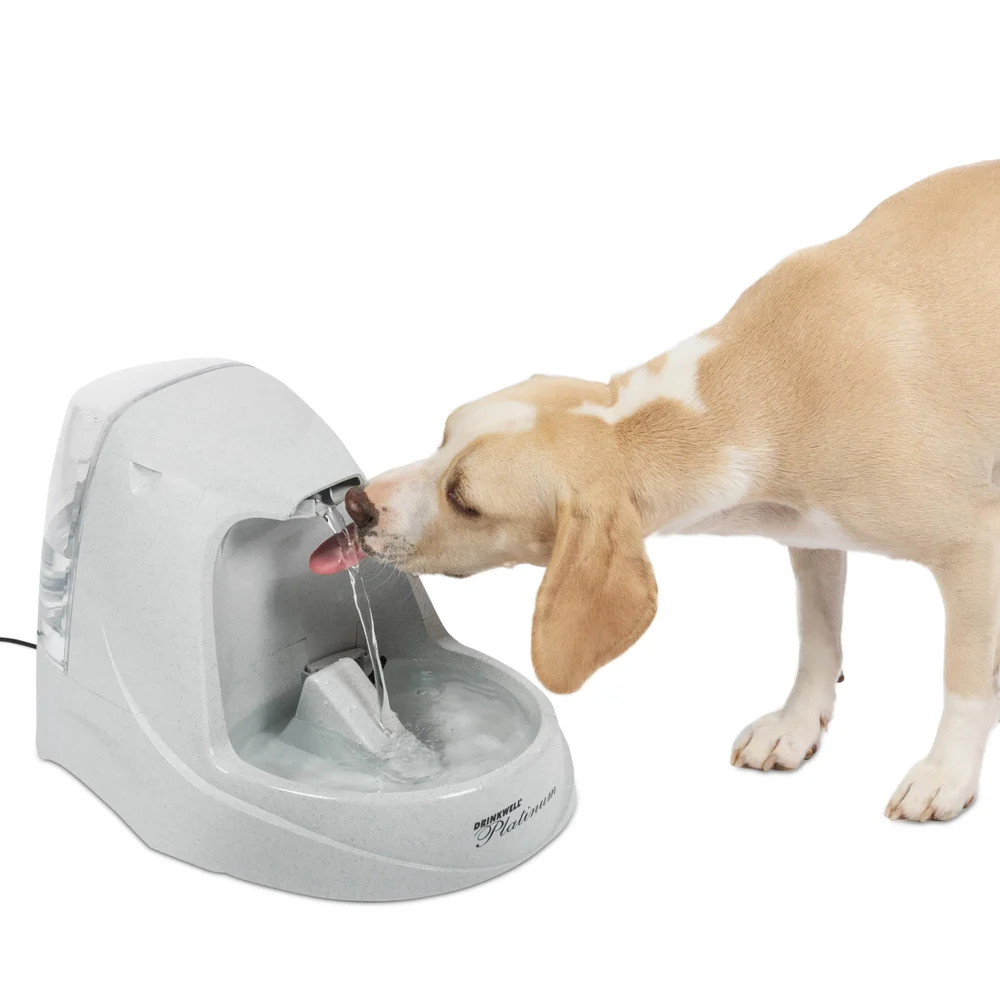 PetSafe Drinkwell Platinum PWW00-13703 review: a large fountain that needs a cleaning routine