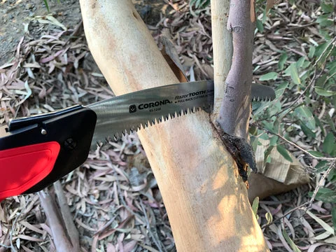 Corona RazorTOOTH RS16150 Review: A folding saw for branches beyond hand-pruner territory