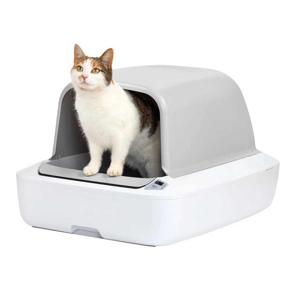 PetSafe ScoopFree Crystal Pro Review: Less Scooping, More Refill Planning