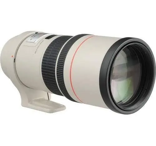 Canon EF 300mm f/4 L IS